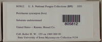 Image Associated With the Occurence